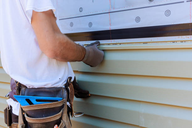 Affordable Siding Repair and Maintenance Services in Darien, IL